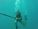 Hawaii Scuba divng 54