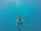 Hawaii Scuba divng 56