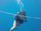 Hawaii Scuba divng 58