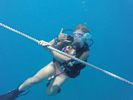 Hawaii Scuba divng 60