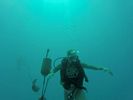 Hawaii Scuba divng 71