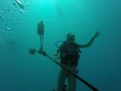 Hawaii Scuba divng 72