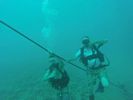 Hawaii Scuba divng 74