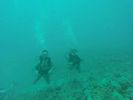 Hawaii Scuba divng 83