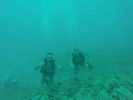 Hawaii Scuba divng 84