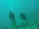 Hawaii Scuba divng 85