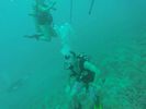 Hawaii Scuba divng 90