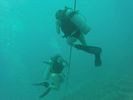 Hawaii Scuba divng 91