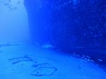 Hawaii Scuba divng 11