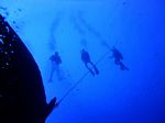 Hawaii Scuba divng 12