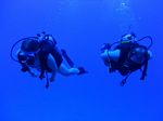 Hawaii Scuba divng 14