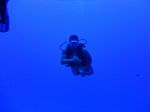 Hawaii Scuba divng 15