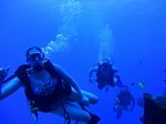 Hawaii Scuba divng 21