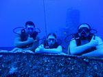 Hawaii Scuba divng 24