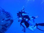 Hawaii Scuba divng 32