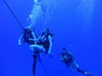 Hawaii Scuba divng 34