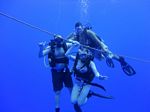 Hawaii Scuba divng 36