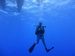 Hawaii Scuba divng 43