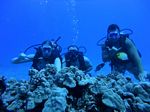 Hawaii Scuba divng 44