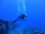 Hawaii Scuba divng 45