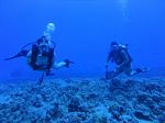 Hawaii Scuba divng 46