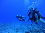 Hawaii Scuba divng 47