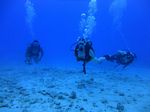 Hawaii Scuba divng 48