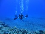 Hawaii Scuba divng 49