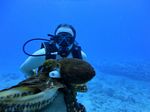 Hawaii Scuba divng 56