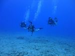 Hawaii Scuba divng 58