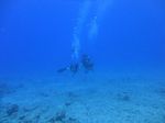 Hawaii Scuba divng 59