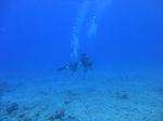 Hawaii Scuba divng 59