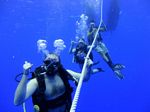 Hawaii Scuba divng 05