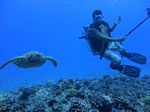 Hawaii Scuba divng 61