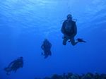 Hawaii Scuba divng 62