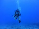 Hawaii Scuba divng 64