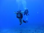 Hawaii Scuba divng 65