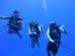 Hawaii Scuba divng 66