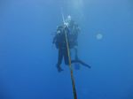 Hawaii Scuba divng 13