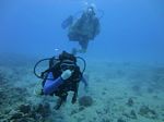 Hawaii Scuba divng 16