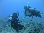 Hawaii Scuba divng 20