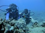 Hawaii Scuba divng 21