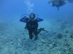 Hawaii Scuba divng 22