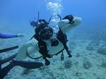 Hawaii Scuba divng 23