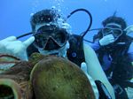 Hawaii Scuba divng 33