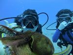 Hawaii Scuba divng 34