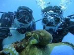 Hawaii Scuba divng 41