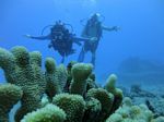 Hawaii Scuba divng 47