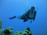 Hawaii Scuba divng 49