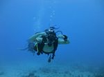 Hawaii Scuba divng 51